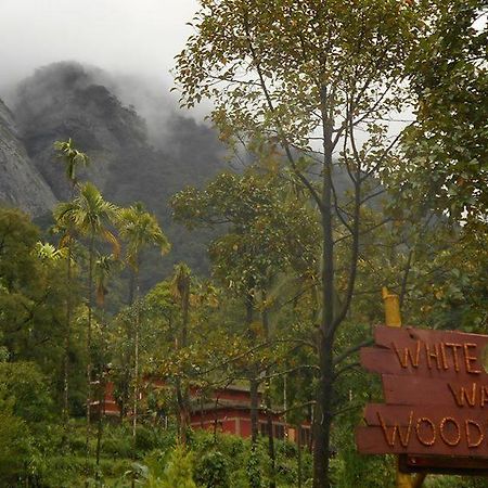 White Water Woods Resort Vythiri Eksteriør billede
